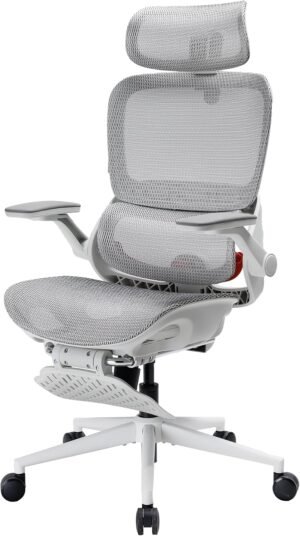 SIHOO B100 PRO Ergonomic Office Cha...