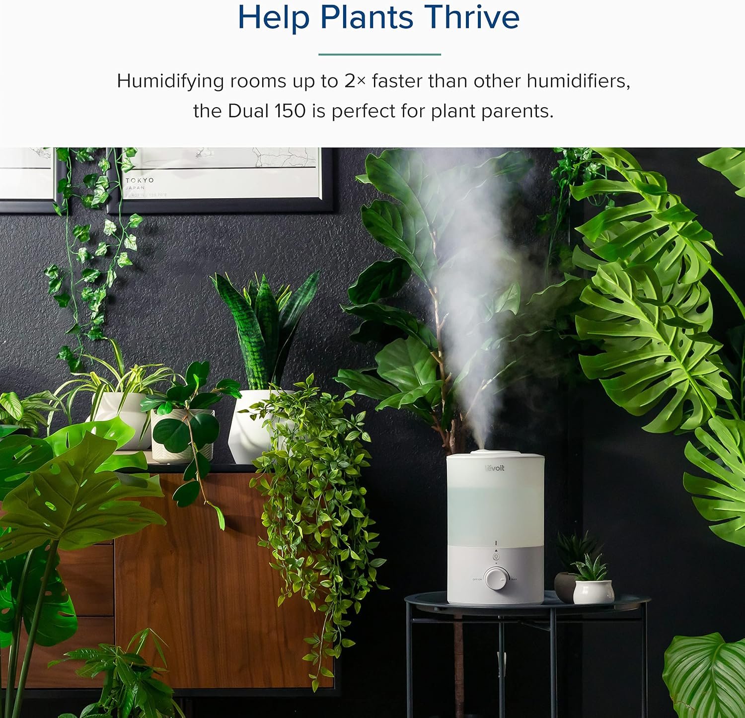 LEVOIT 3L Humidifiers for Bedroom Baby Room with Night Light, Cool Mist Humidifier for Home, Office & Plant, Auto-Off, Up to 25H for 27 ㎡, Quiet Operation with 360° Rotation Nozzle- 2 Filter Sponge - Image 8